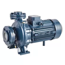Насосный агрегат моноблочный фланцевый PURITY PSTC 40-125/15 (N) - 1