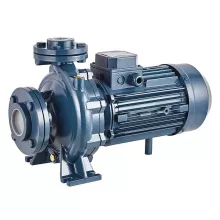 Насосный агрегат моноблочный фланцевый PURITY PSTC 40-125/22 (N) - 1