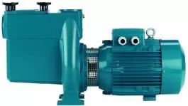 Насос для бассейна Calpeda NMP 50/12GE 220V с предварительным фильтром - 2